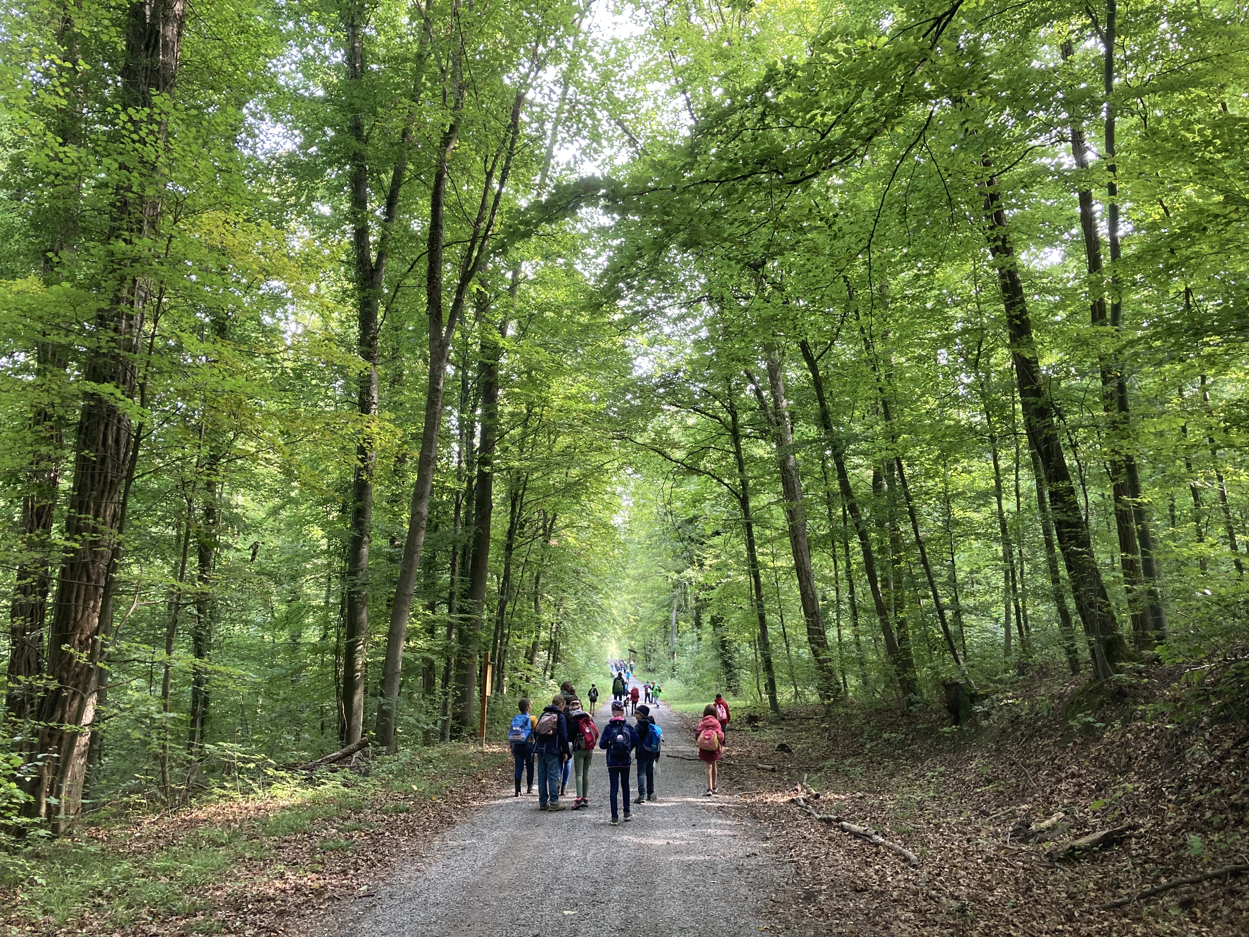 Gemeinsamer Herbstwandertag