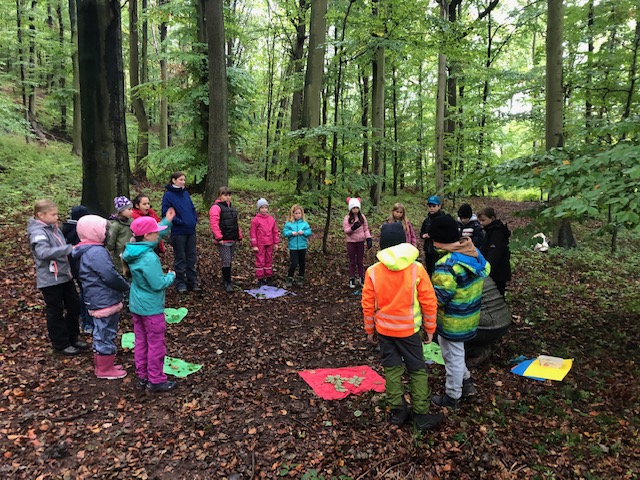 Waldtag der Eulen und Füchse