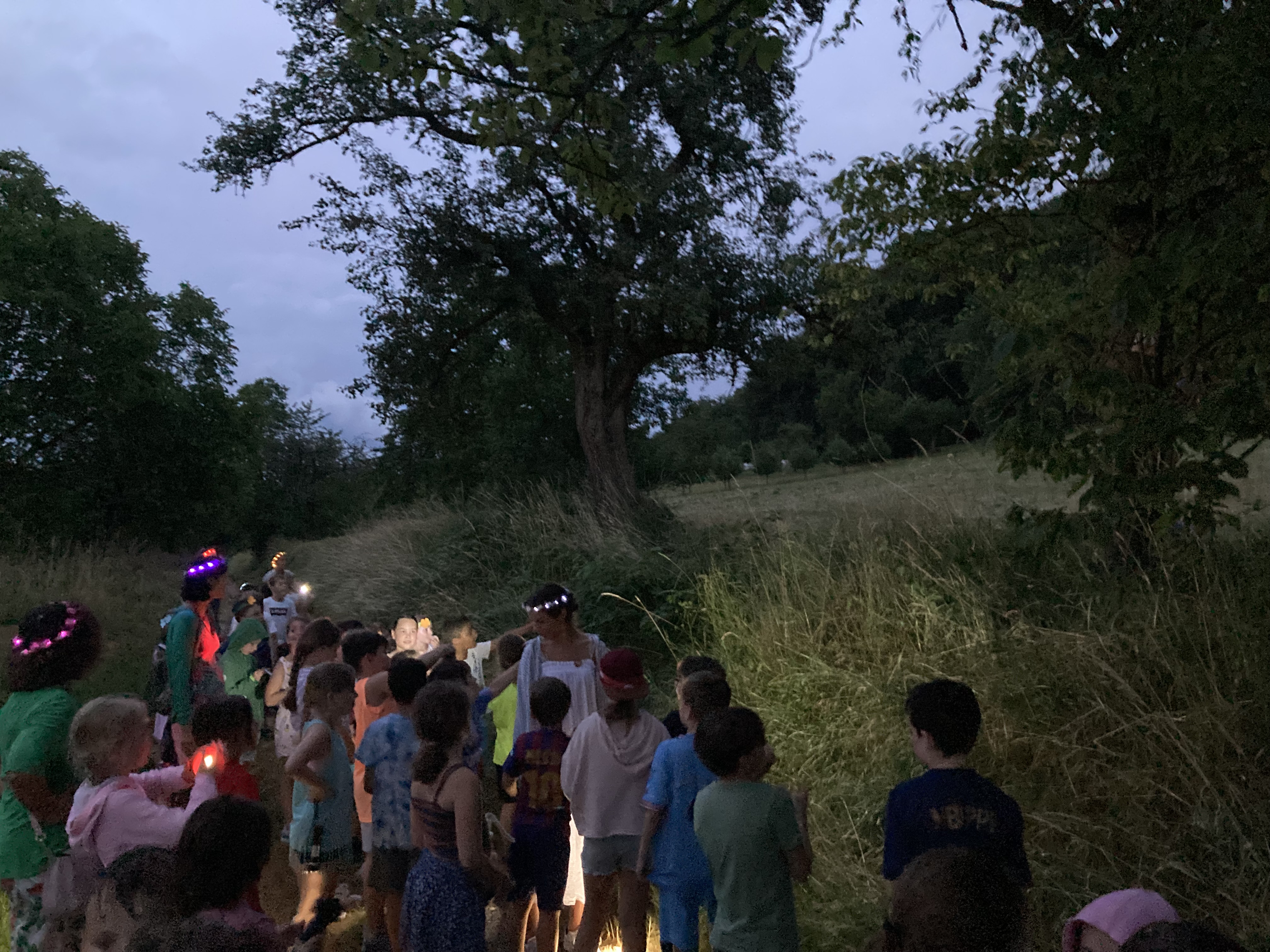 Midsommar-Lesenacht