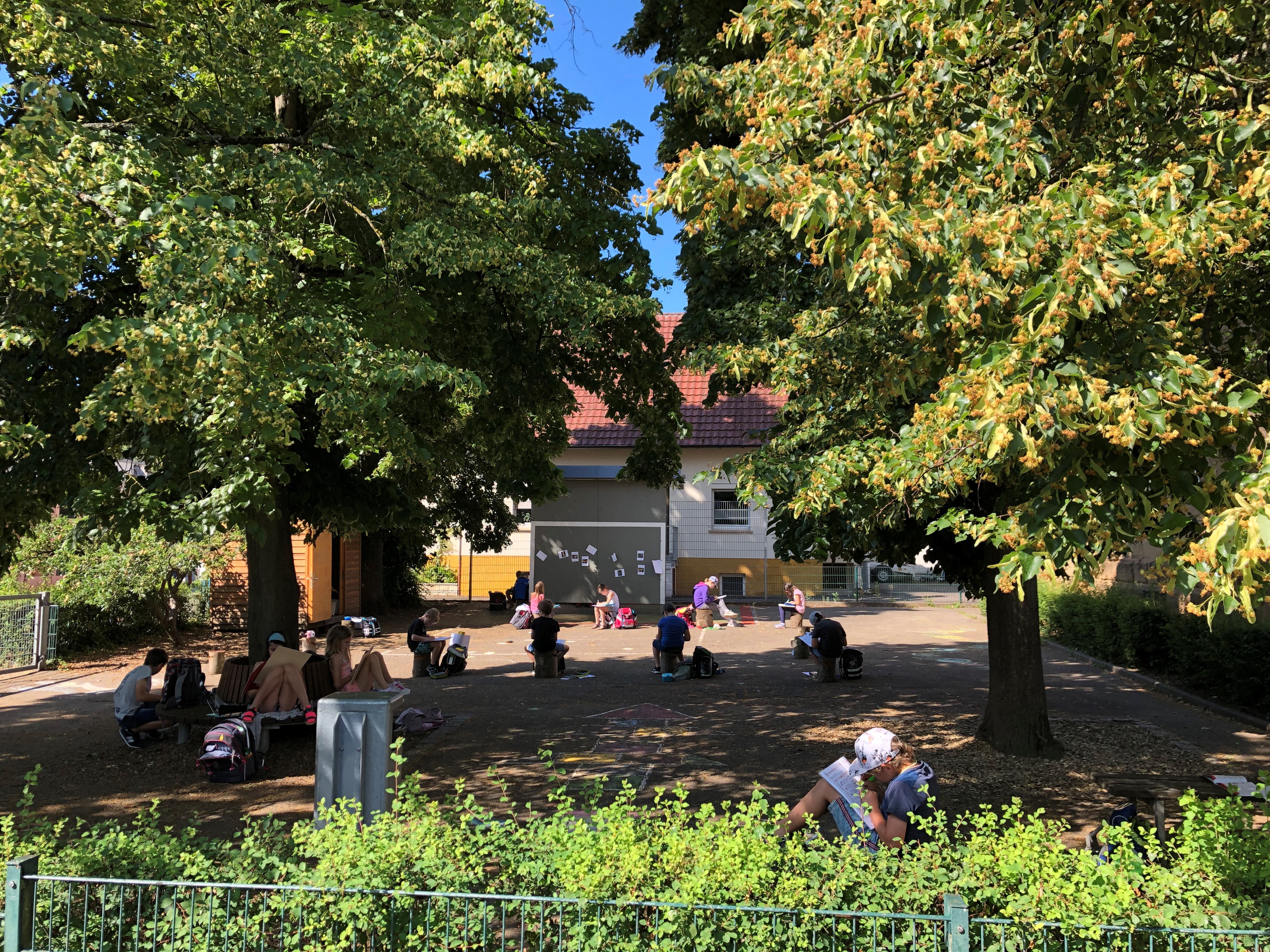 Regelbetrieb zum Schuljahresende